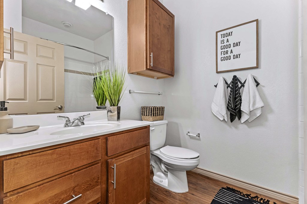 the preserve at ballantyne commons apartment bathroom with sink toilet and mirror