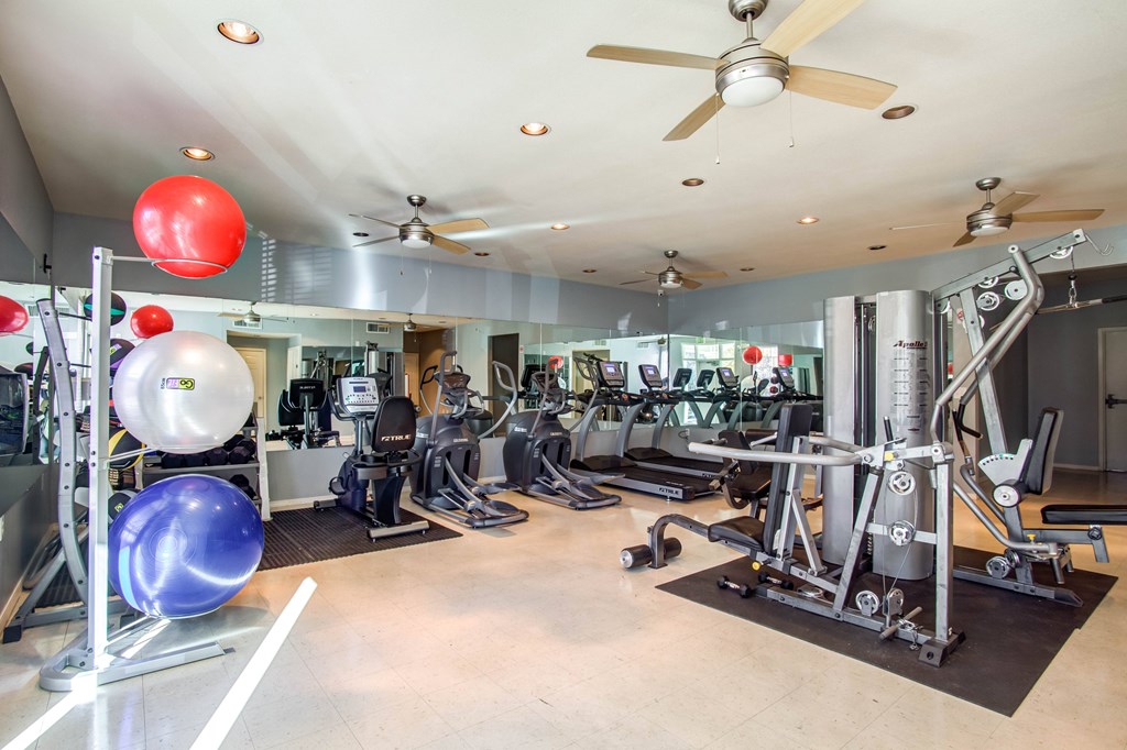 A gym with a variety of equipment including a weight bench, a rowing machine, and a treadmill.