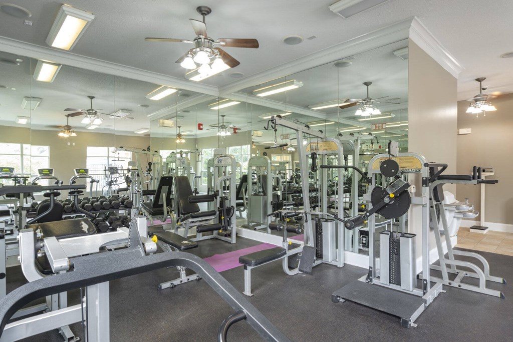 A gym with a variety of equipment including treadmills, weights, and exercise machines.
