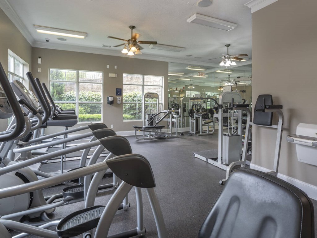 A gym with treadmills, elliptical machines, and other exercise equipment.