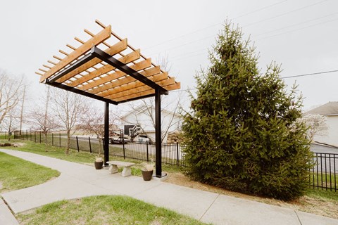 a pergola in a park with a tree and a bench