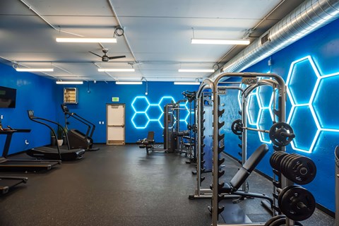 A gym with a row of treadmills and a row of weight machines.