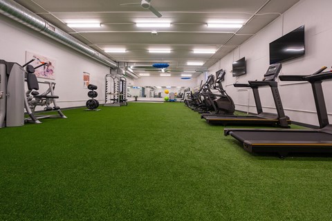A gym with treadmills and exercise equipment.