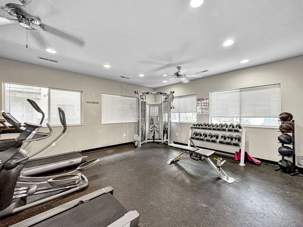 A spacious gym with treadmills, weights, and exercise equipment.