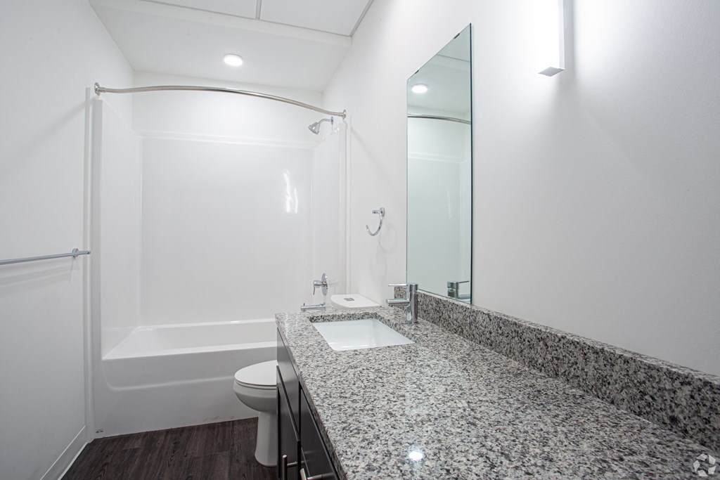 a bathroom with a sink and a shower and a toilet