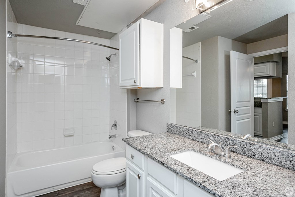 a bathroom with a sink and a toilet and a bath tub