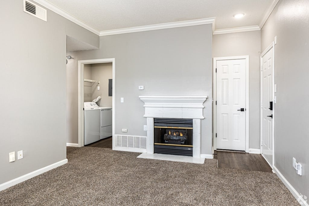 A room with a fireplace and a washer and dryer in it.