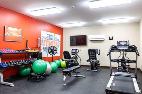 A gym room with a row of exercise balls and a treadmill.