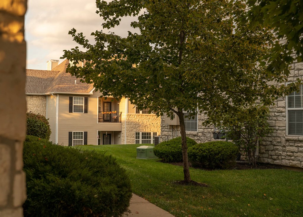 a tree in front of an apartment building
