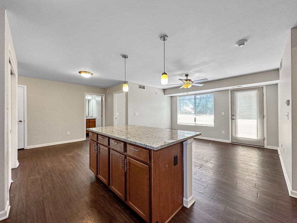 A kitchen with a countertop and cabinets is shown.
