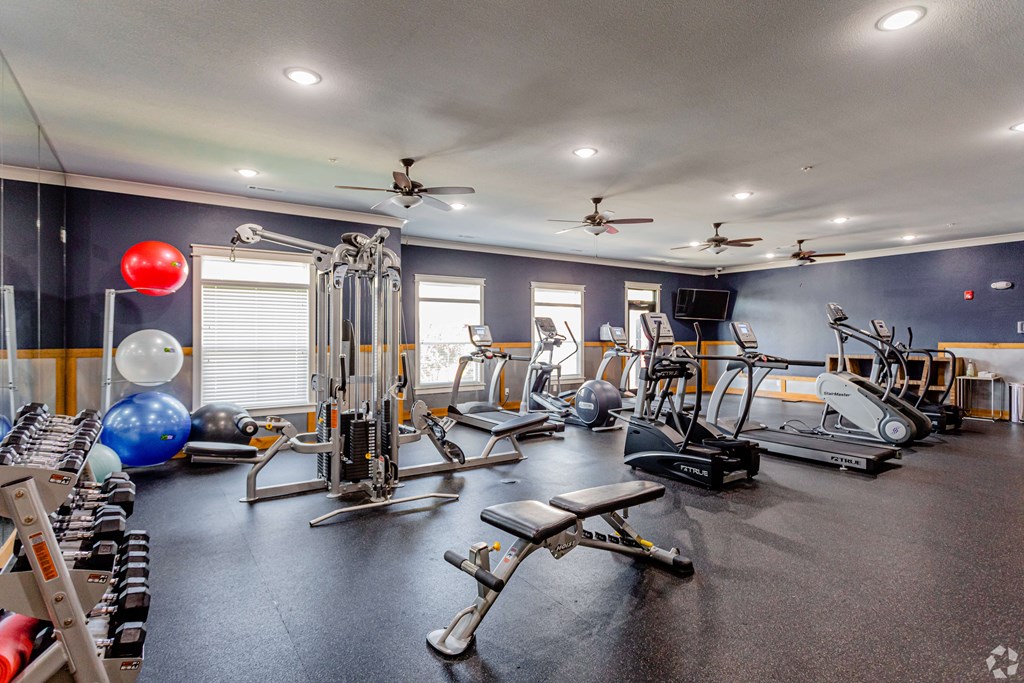 a gym with cardio equipment and weights on the floor and a large window