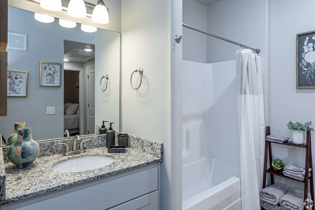 a bathroom with a sink and a shower and a mirror