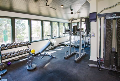 A gym with a row of dumbbells on the left and a row of exercise machines on the right.