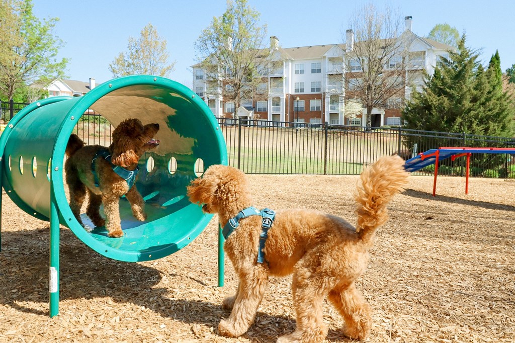 Community Bark Park with Agility Tunnel at The Crest at Sugarloaf Apartments, Lawrenceville