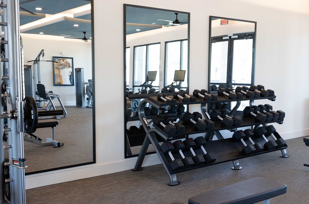 A gym with a mirror on the wall and a rack of dumbbells. at The Crest at South Point Apartments, Davenport , GA