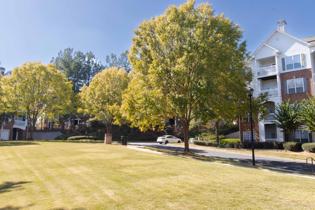 A tree with yellow leaves is in the foreground of a grassy area. at The Crest at Sugarloaf, Lawrenceville, Georgia