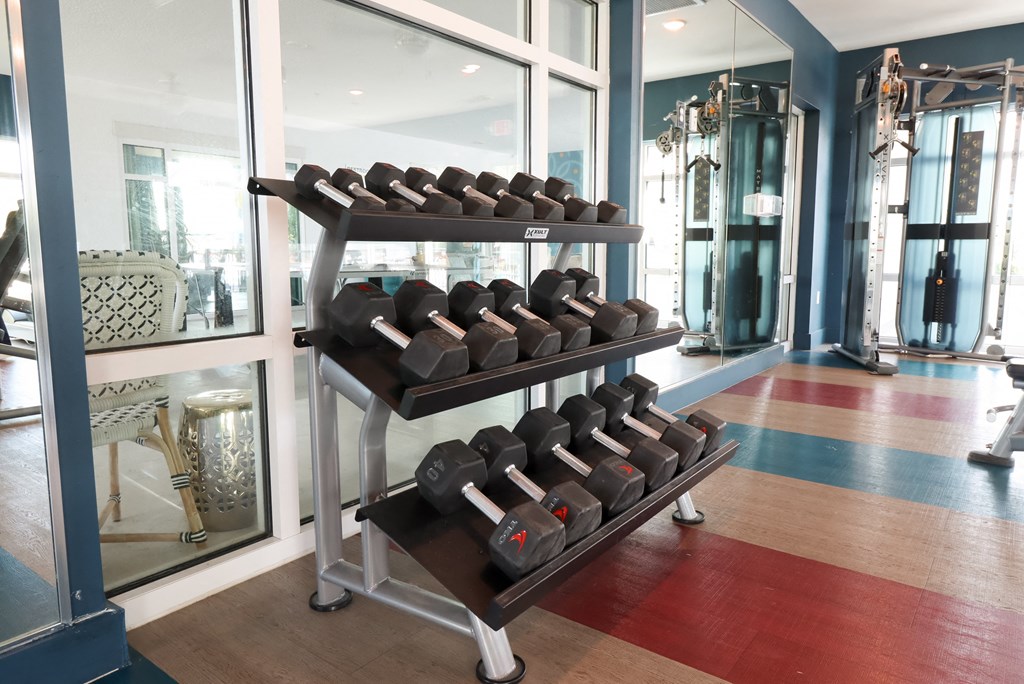 a rack of dumbbells in a gym