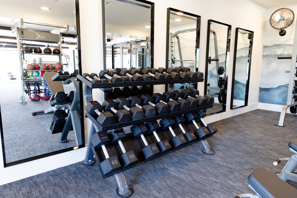 A gym with a mirror, weights, and exercise equipment. at The Crest at Oakwood Apartments, Oakwood , GA