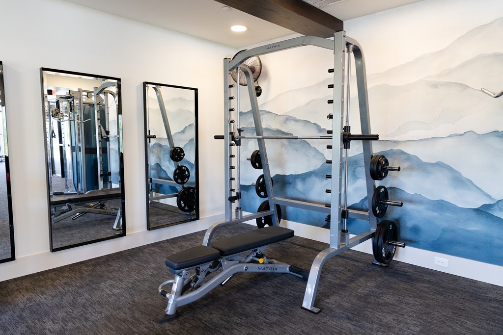 A gym with a mountain mural on the wall. at The Crest at Oakwood Apartments, Oakwood  30566
