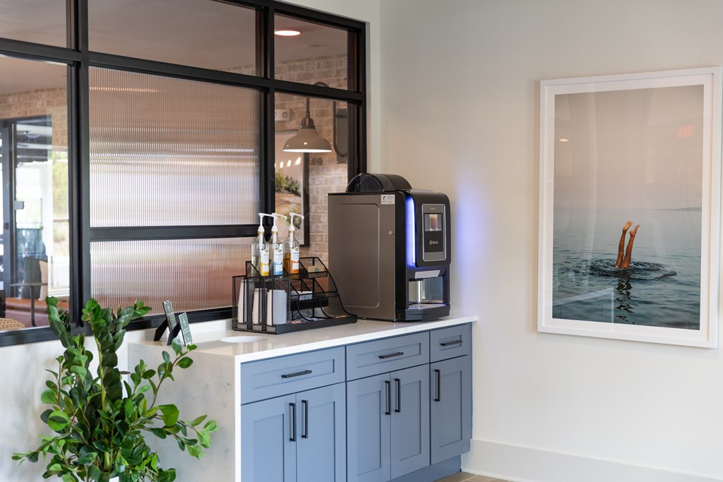 A kitchen with a plant on the counter and a picture of a person in the background. at The Crest at Oakwood Apartments, Oakwood 