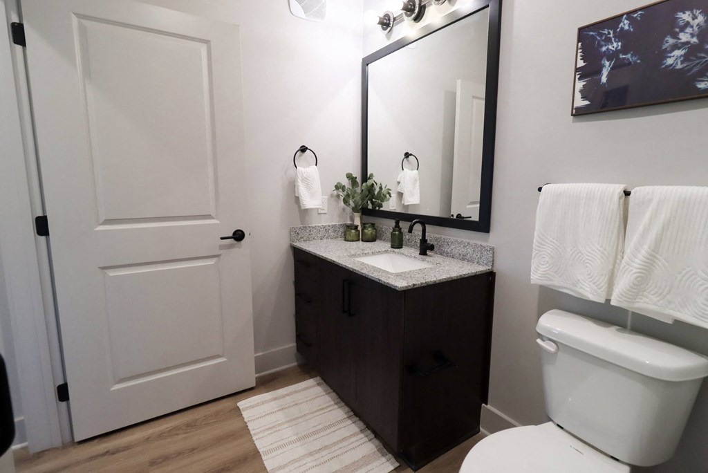 a bathroom with a toilet and a sink and a mirror at The Crest at South Point Apartments, Davenport  30253