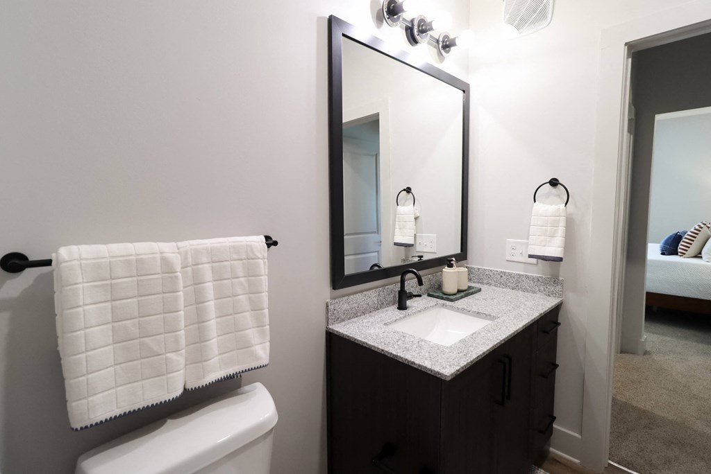 a bathroom with a sink and a mirror and a toilet at The Crest at South Point Apartments, Georgia