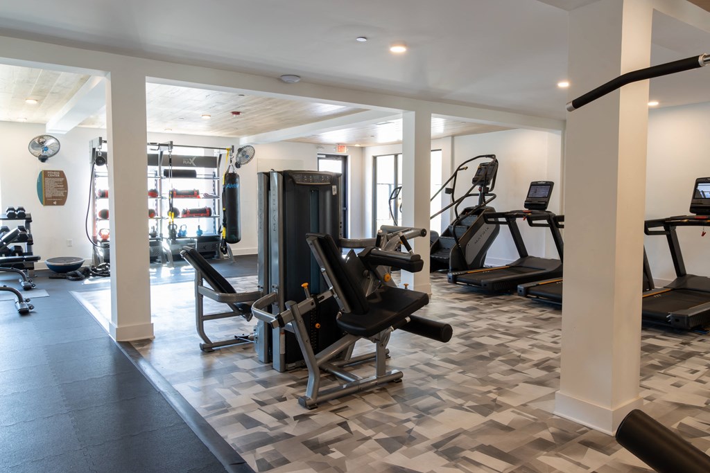 a gym with cardio equipment and weights in a home gym at The Wren Apartments, Georgia, 30043