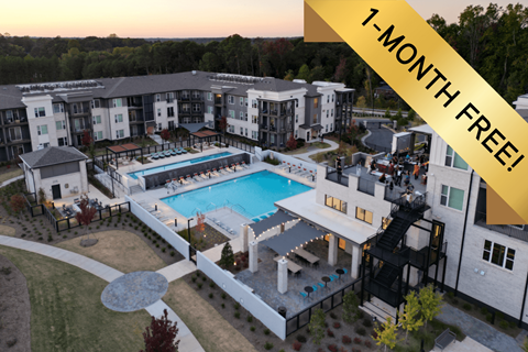 A swimming pool is surrounded by a patio and a building.