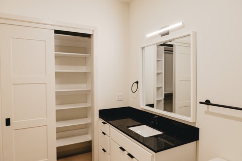 a bathroom with a sink and a mirror and a closet