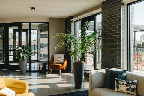 a living room with a couch and chairs and potted plants