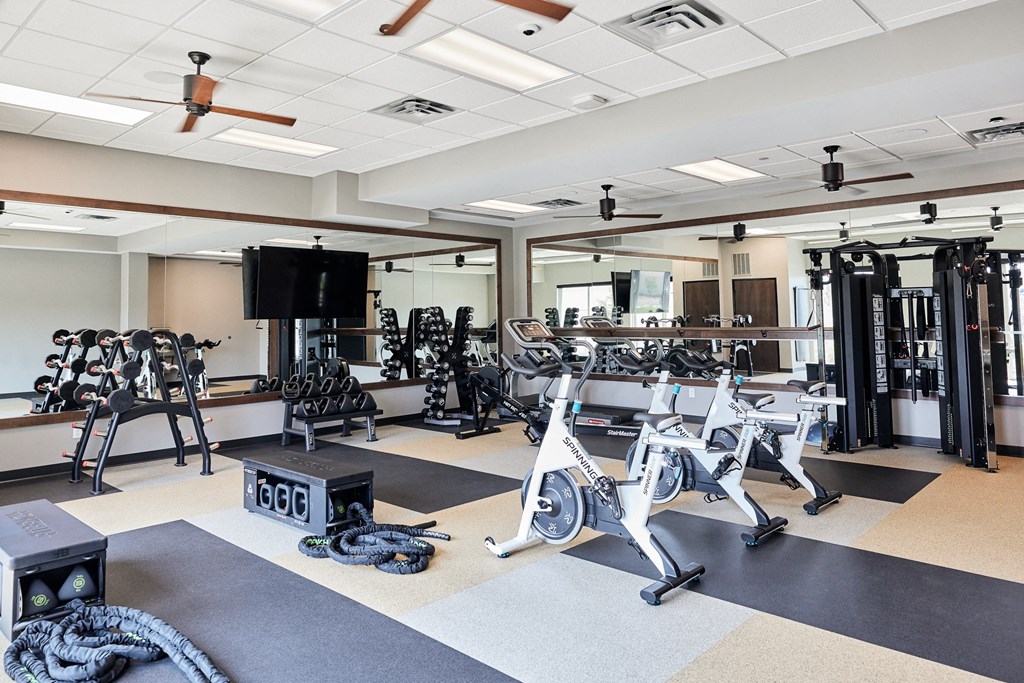 a gym with weights and cardio machines and other exercise equipment