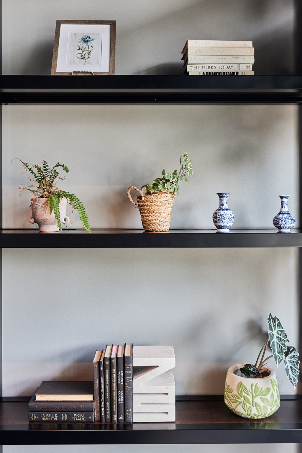 a shelf with books and plants on it