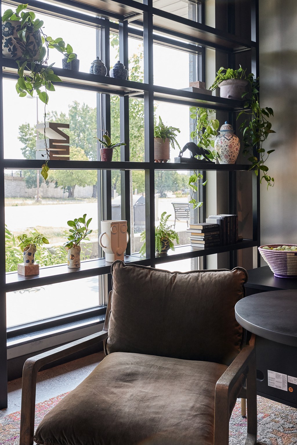 a living room with a couch and plants on a window sill