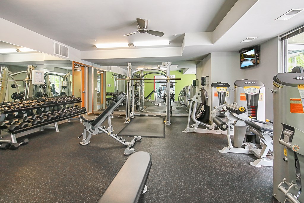 a gym with weights and cardio machines and a tv