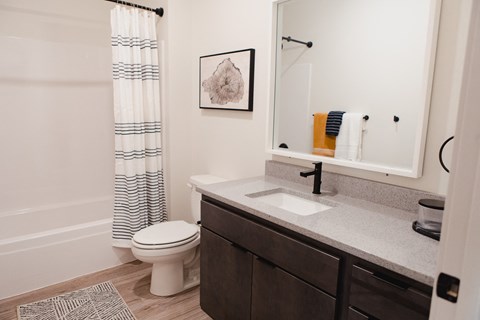 a bathroom with a toilet and a sink and a mirror