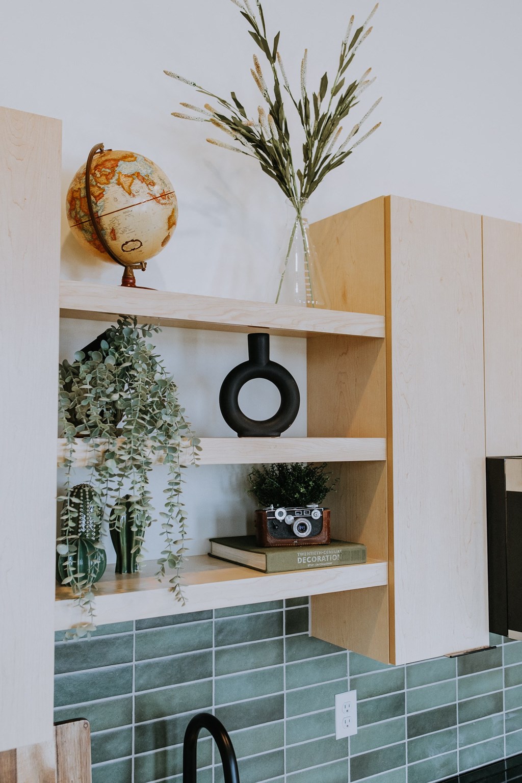a shelf with a globe and plants on top of it