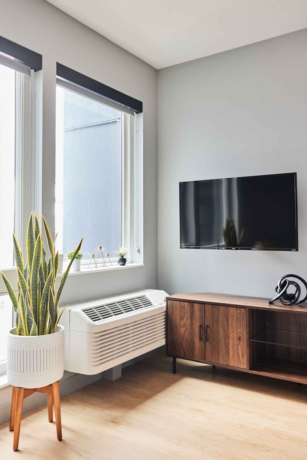 a living room with a plant and a tv on the wall