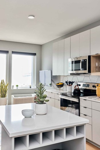 455 Snelling Ave N Studio-3 Beds Apartment for Rent - Photo Gallery 2