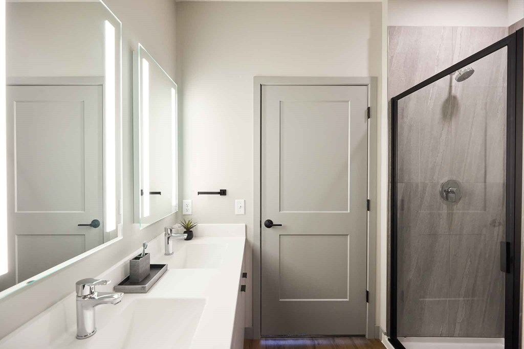 a bathroom with a sink and a mirror and a shower