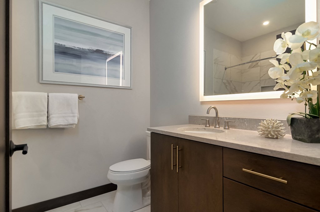 a bathroom with a sink and a toilet and a mirror