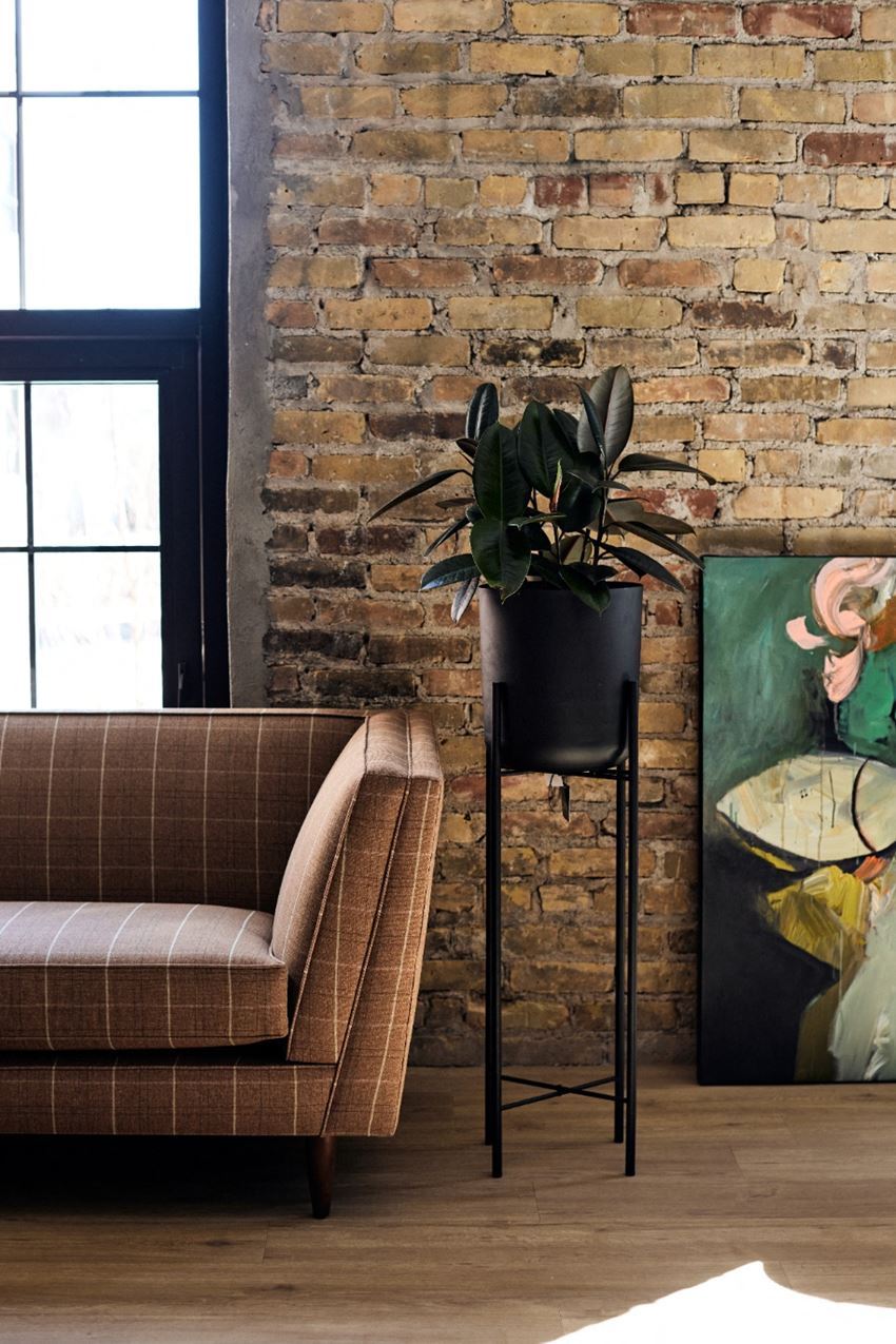 a living room with a couch and a potted plant