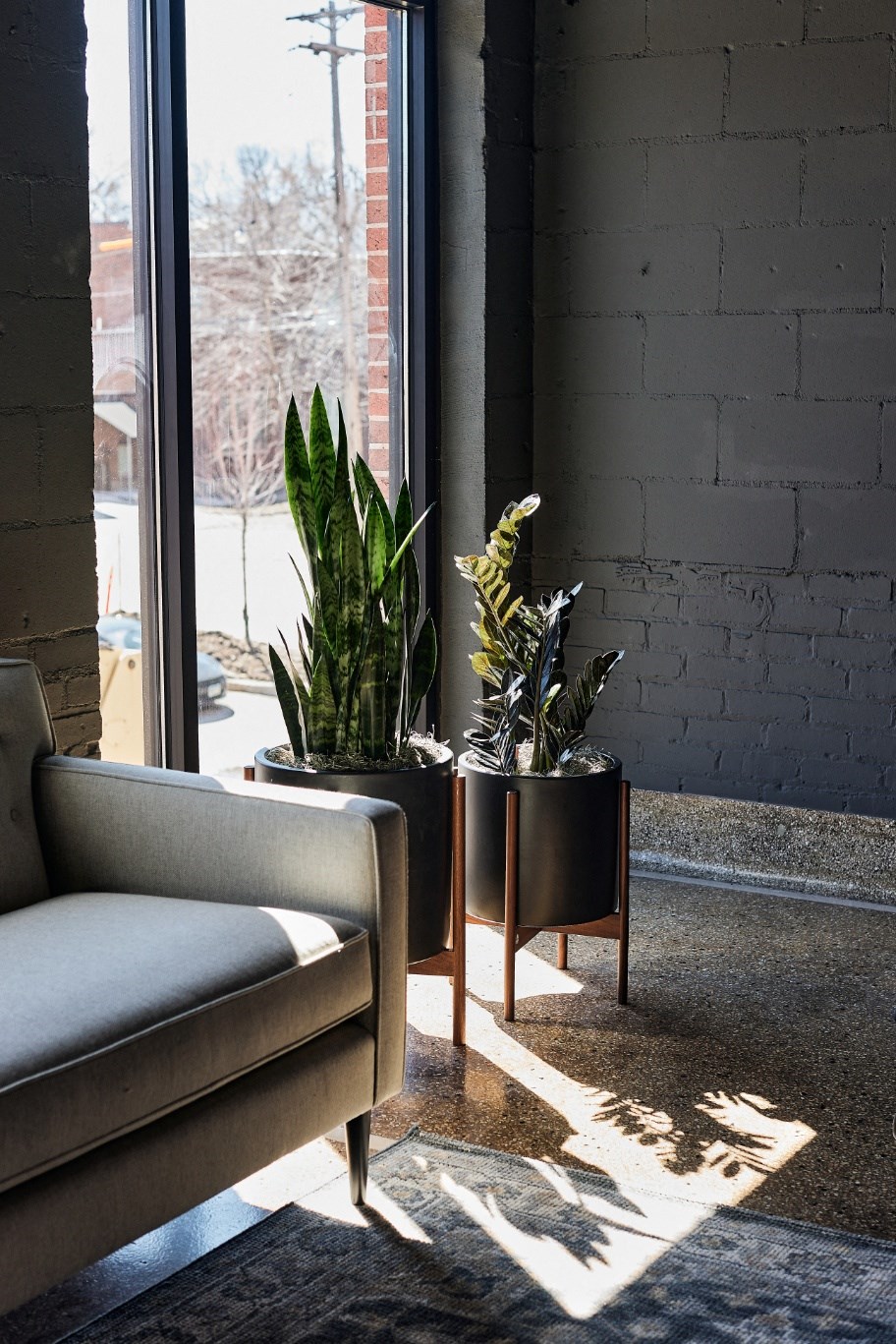 a living room with a couch and plants in front of a window