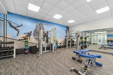 fitness center with free weights at HighPoint apartments