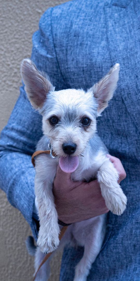 Berkshire Annapolis Bay