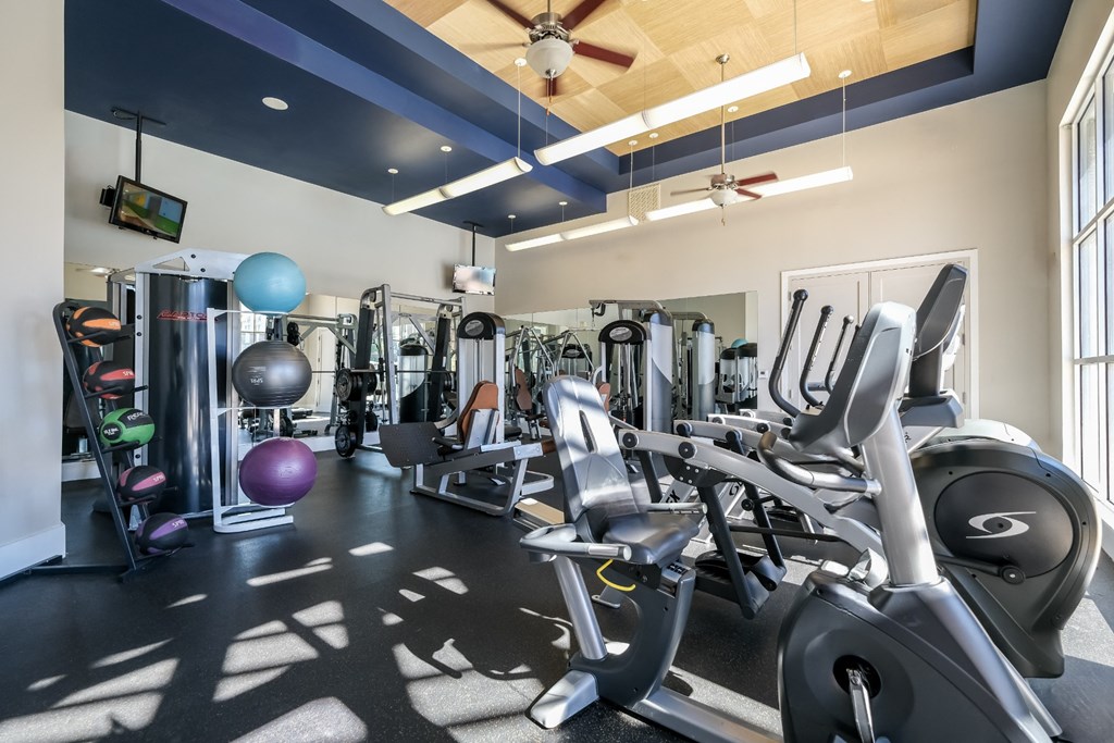fitness center at Soho Parkway apartments