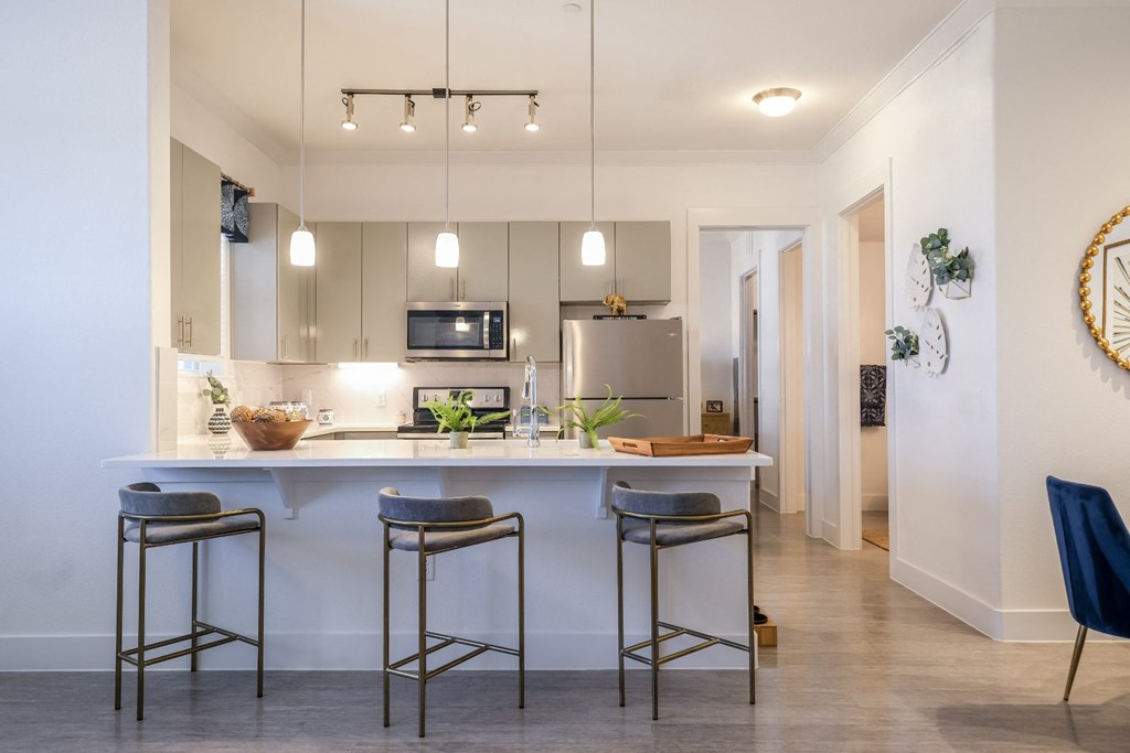 luxury kitchen at Reveal on the Lake apartments