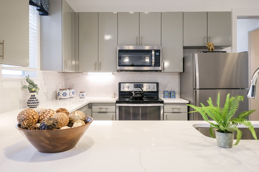 a modern kitchen with stainless steel appliances at Reveal on the Lake apartments