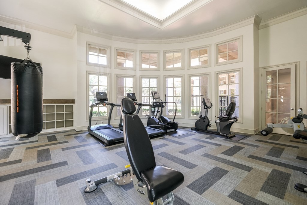 fitness center at Stoneleigh on Spring Creek apartments
