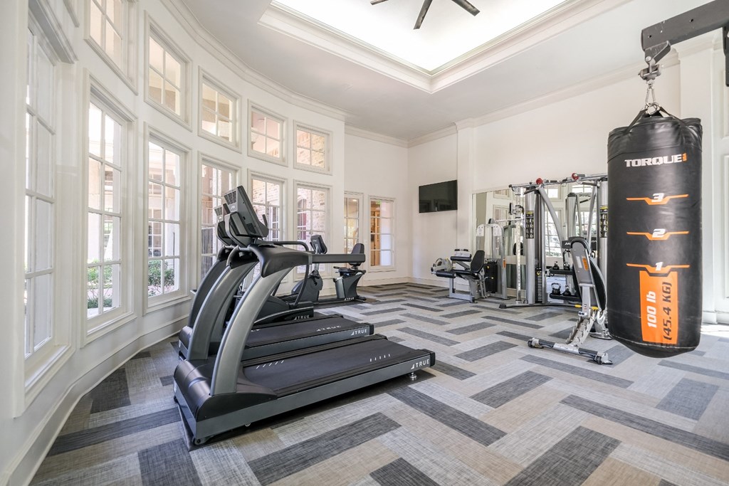 fitness center with cardio equipment at Stoneleigh on Spring Creek apartments