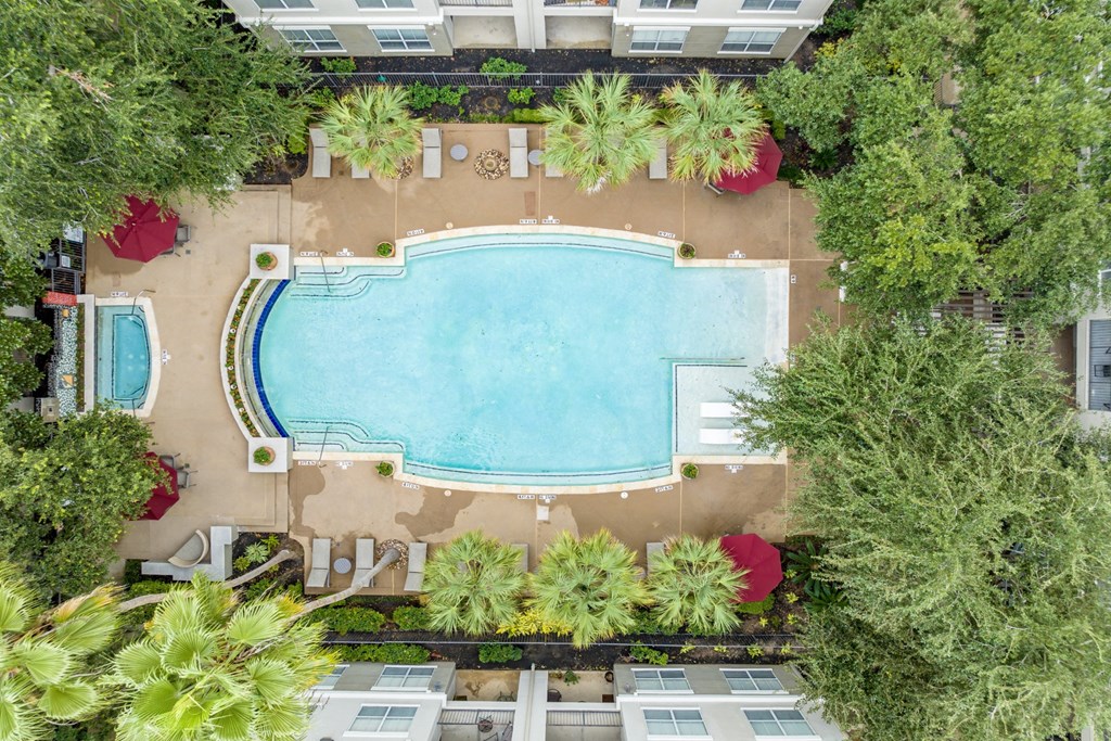 aerial view of the swimming pool at The Plaza Museum District apartments